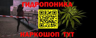 прущие крисы Будённовск